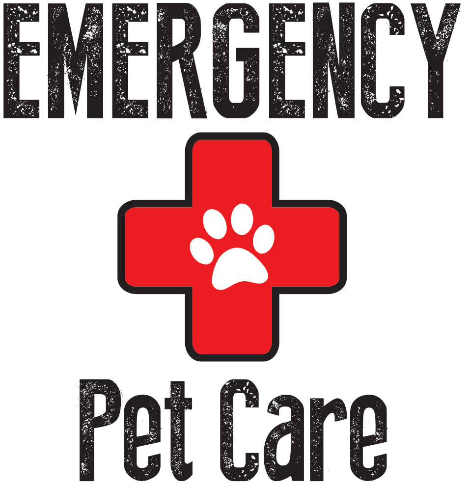 Emergency pet fashion hospital